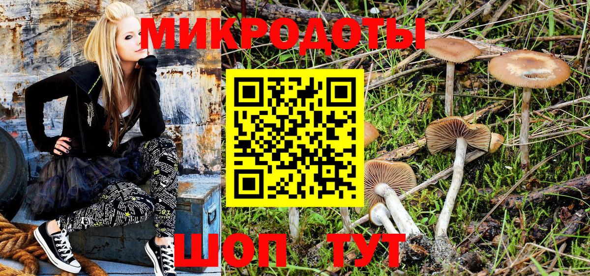Галлюциногенные грибы Psilocybe  Вход с VPN  Кулебаки  Псилоцибиновые грибы Psilocybe 
